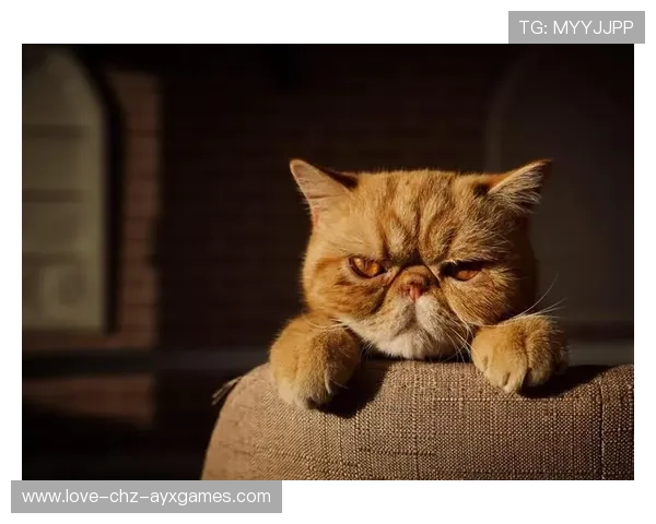 UFC经典瞬间揭秘：抱摔后砸地连击，瞬间终结对手的震撼瞬间