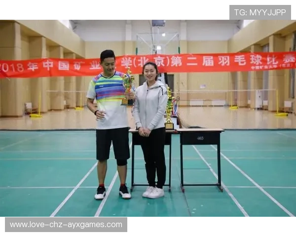 羽毛球职业发展扶持政策建议与实施路径 羽毛球职业发展扶持政策建议与实施路径